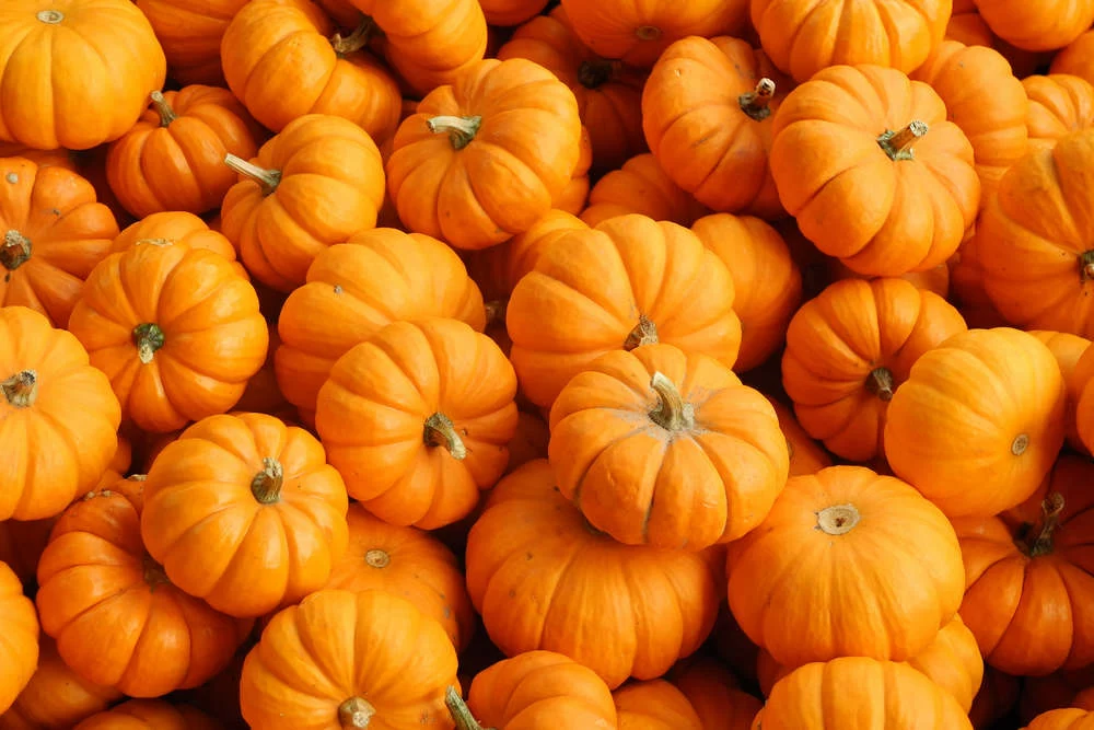Pumpkin in Type 2 Diabetes: Benefits, Risks, and Rules of Consumption