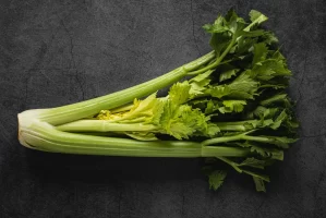Celery in Type 2 Diabetes: A Low-Carb Ally in Nutrition and Beyond Celery in Type 2 Diabetes: A Low-Carb Ally in Nutrition and Beyond