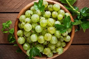 Крыжовник при диабете 2 типа: кисло-сладкий помощник для контроля сахара Крыжовник при диабете 2 типа: кисло-сладкий помощник для контроля сахара