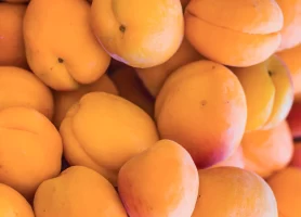 Абрикосы при диабете 2-го типа: сладкое летнее лакомство с оговорками