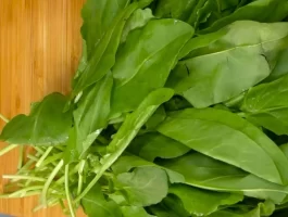 Sorrel and Type 2 Diabetes