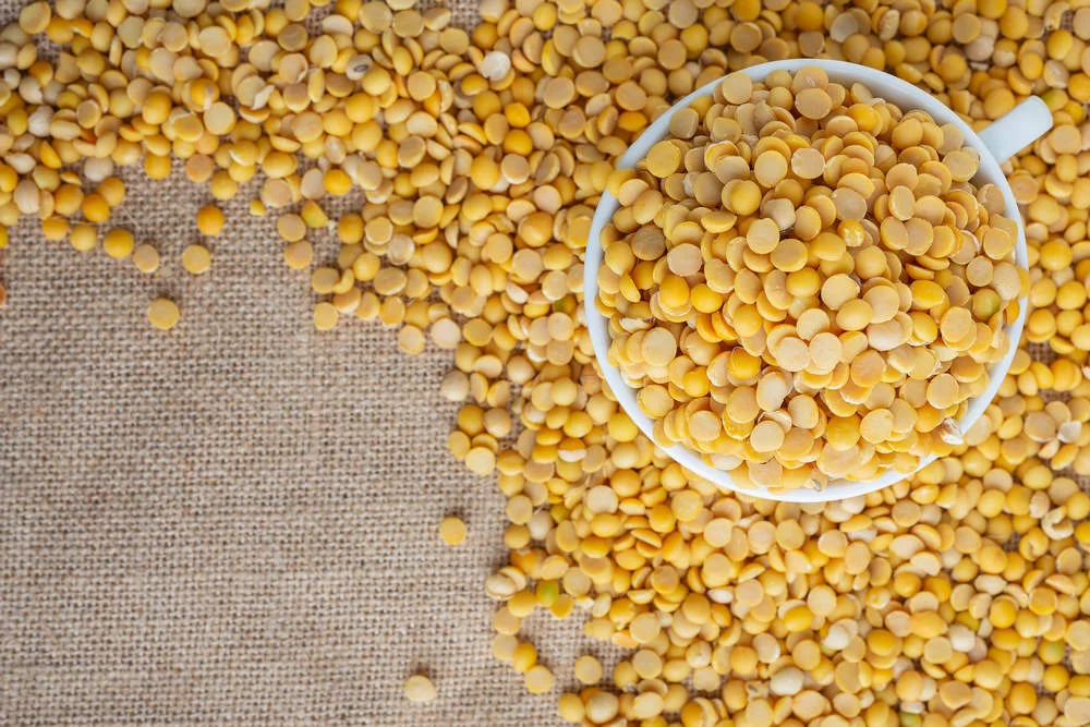 Чечевица при диабете 2 типа: польза, правила употребления и рецепты