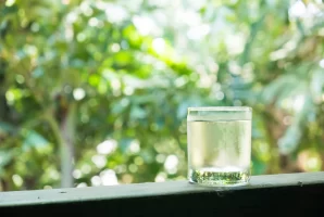 Natural Gift or Hidden Enemy: Can People with Type 2 Diabetes Drink Birch Sap?