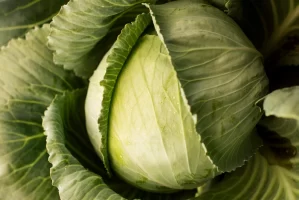 Капуста при диабете 2 типа: идеальный продукт для тарелки