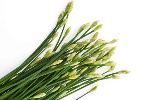 Ramsons (Wild Garlic) and Type 2 Diabetes