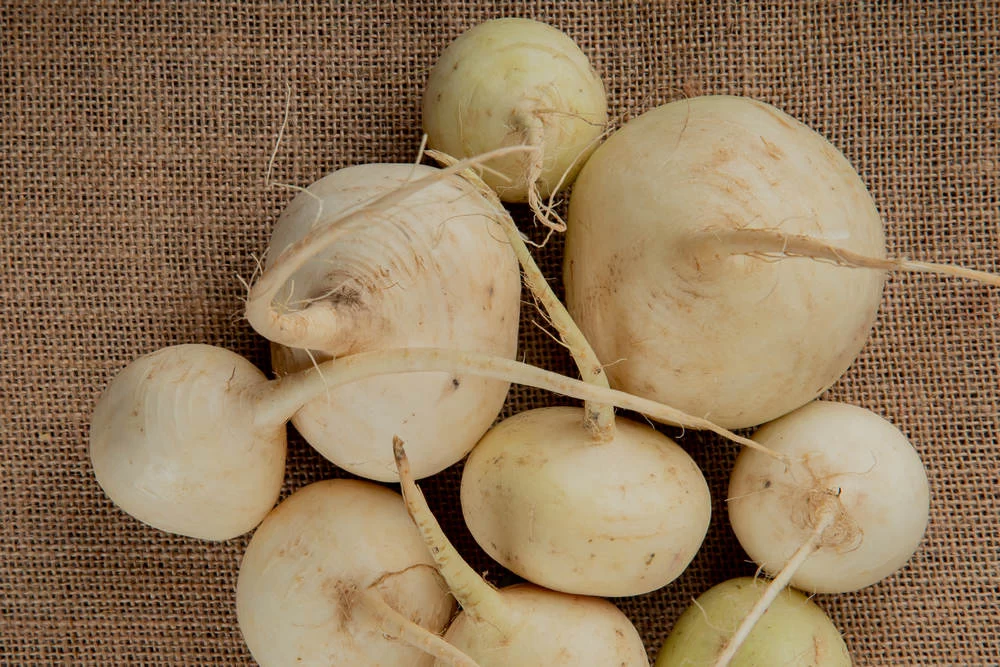 Репа при диабете 2 типа: забытый суперфуд для контроля сахара Репа при диабете 2 типа: забытый суперфуд для контроля сахара