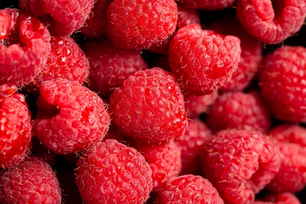 Малина при диабете 2 типа: полезный десерт, разрешенный врачами