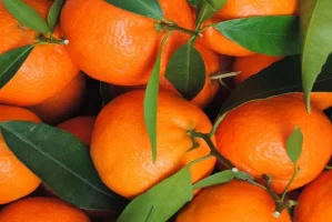 Мандарины при диабете 2 типа: польза, вред и правила употребления