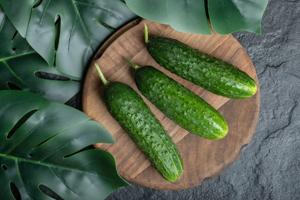 Огурцы при сахарном диабете 2 типа: идеальный продукт для ежедневного меню