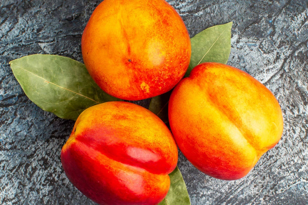 Нектарин при диабете 2 типа: сладкое удовольствие с оговорками Нектарин при диабете 2 типа: сладкое удовольствие с оговорками