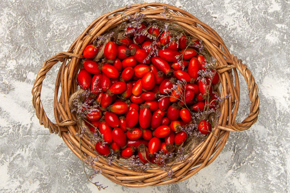 Rosehip for Type 2 Diabetes: A Natural Source of Health with Important Caveats